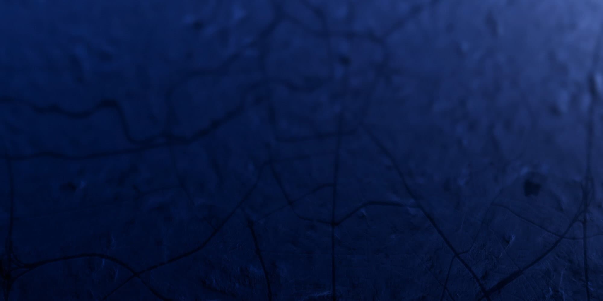 SMART AND SUSTAINABLE MOSCOW 2024 - проект DATAFORUM